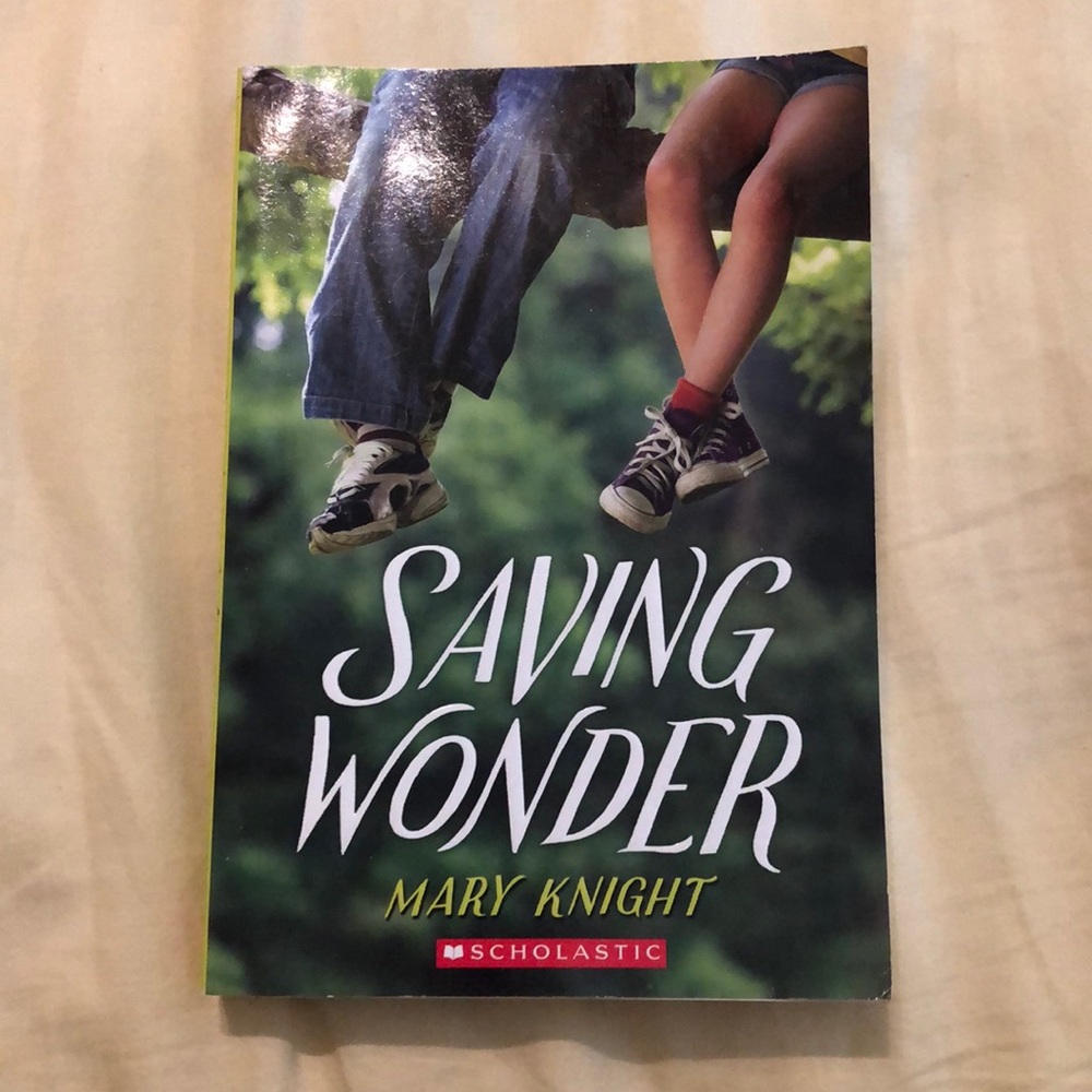 Saving Wonder by Mary Knight